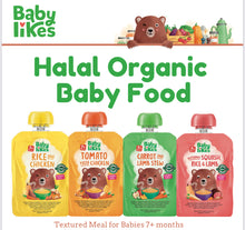Load image into Gallery viewer, Baby Likes Organic Food Pouch
